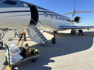Floral arrangements, pillows, and luxury staging items on a cart outside a Gulfstream G650 aircraft during charter photo shoot prep in Mesa, Arizona.